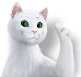 chat-yeux-verts.jpg