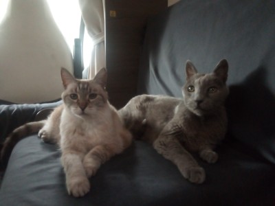 2023 Vahiné & Drago.jpg