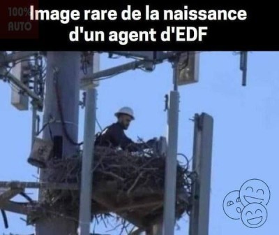 edf.jpg