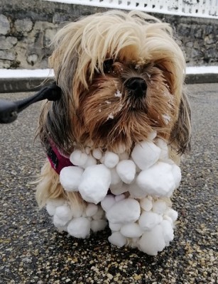 Vive le bain d'eau chaude !