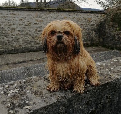 Bain.jpg (118.82 Kio) Vu 4605 fois J'adore...mon lavoir à ciel ouvert !