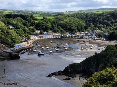 fishguard.jpg