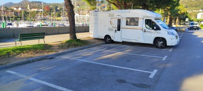 IMG_20241106_093032.jpg