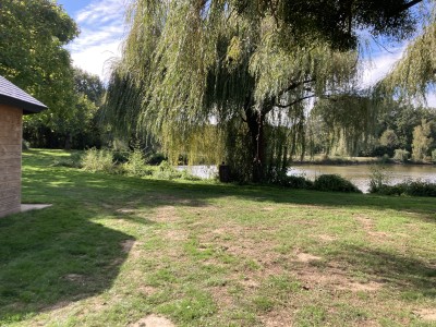 IMG_7537.jpeg