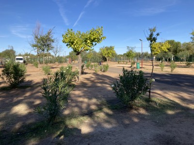 IMG_7558.jpeg