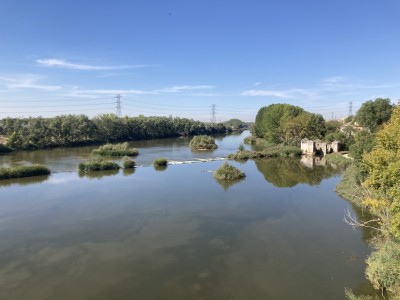 IMG_7572.jpeg