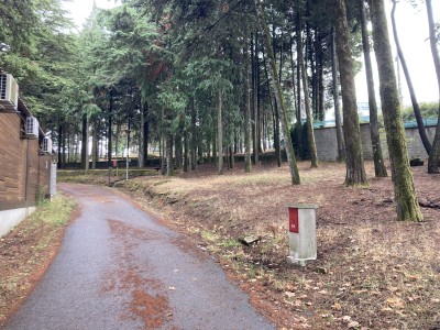 IMG_7581.jpeg