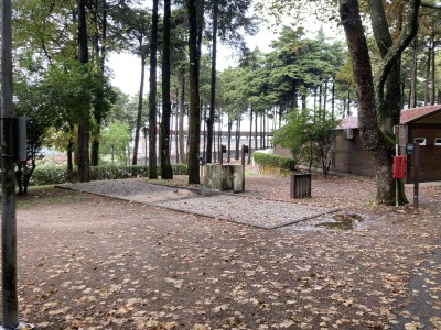 IMG_7584.jpeg