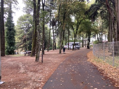 IMG_7582.jpeg