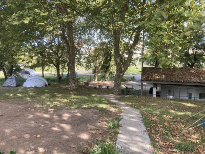 IMG_7593.jpeg
