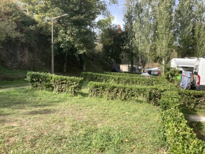 IMG_7595.jpeg