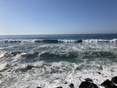 IMG_7598.jpeg
