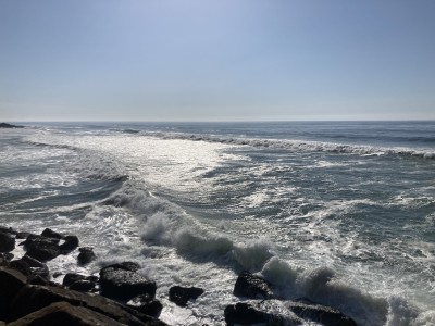 IMG_7599.jpeg