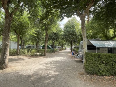 IMG_3203.jpeg